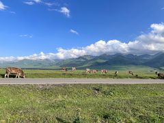 -新疆那拉提国家旅游度假区