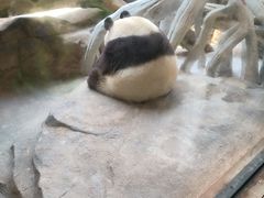 -宁波野生动物园