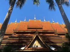 -西双版纳傣族园