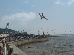 -星海湾跨海大桥