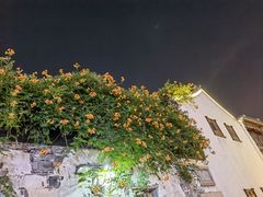 -山塘街