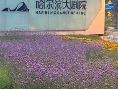 -哈尔滨大剧院