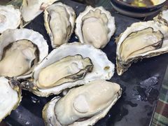 -大富蚝乌东哥饭店·石锅鱼杂·柠檬鸭(革新路店)