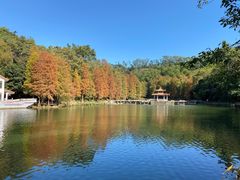 -深圳仙湖植物园-停车场