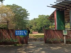 -松山湖南湖湾露营营地