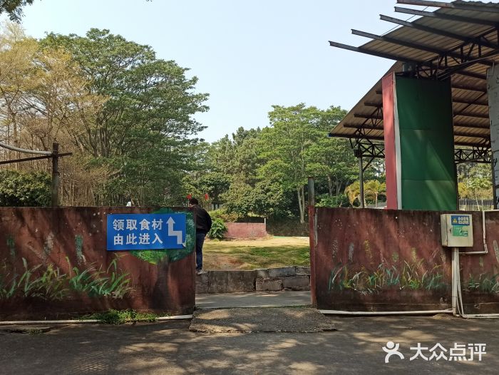 松山湖南湖湾露营营地图片