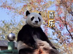 -天津市动物园
