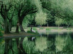 -上海共青森林公园