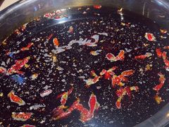 -大队长主题火锅(观音桥店)