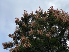 -苏州河梦清园环保主题公园