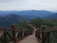 -大岭沟猕猴桃谷风景区