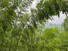-九宫山风景区
