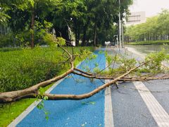 -深圳市人才园(深南大道店)