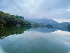 -深圳仙湖植物园