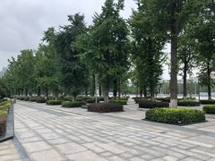 -百林公园-两江幸福广场
