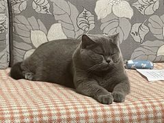 -宠颐生·恒爱宠物医院(静海店)