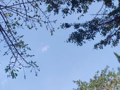 -青青世界