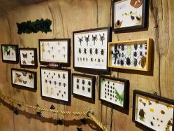 -Zoolung Zoolung动物主题公园(海信广场店)