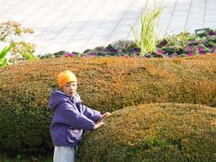 -辽宁友谊宾馆