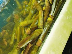 -王潮活海鲜自助·蒸汽海鲜