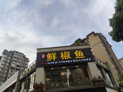 -鲜椒鱼·雅安地标性美食