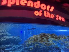 -海合安成都极地海洋公园
