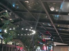 -海岛八号龙虾烧烤田鸡(蓝天路总店)