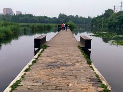 -前关湿地公园