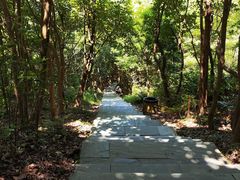 -梧桐山风景名胜区