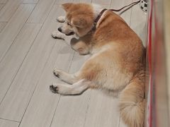 -YCHL Studios健身工作室(市二宫店)