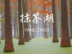 -渌洋湖湿地公园