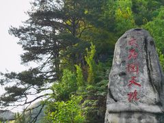 -百色大石围天坑群