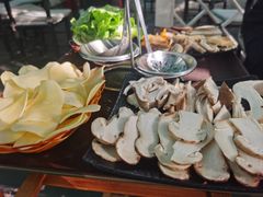 -蘑统田下·野生菌火锅