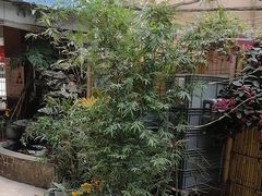 -佛有缘·32年老字号(广州首店)
