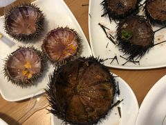 -海胆小馆(东北水饺·春柳店)