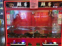 -超级物种·波龙工坊(国贸店)