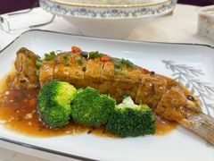 -有腥气私房菜·寻味顺德