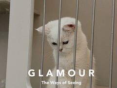 -唐小姐の私宠·宠物洗护美容·撸猫馆·购宠(周浦万达旗舰店)