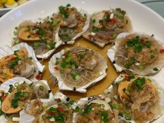 扇贝-金蝉食府(维吉奥广场店)