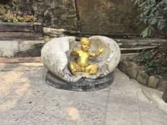 -西双版纳原始森林公园