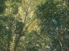 -兰亭风景区