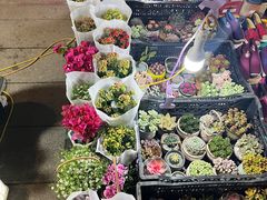 -南湖公园地摊集市