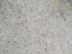 -北海金海湾红树林生态旅游区