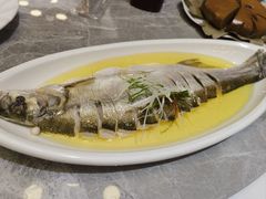 -老绍兴养和饭店(向阳不夜城店)