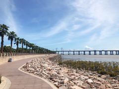 -宝安西湾红树林湿地公园