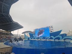 -上海海昌海洋公园