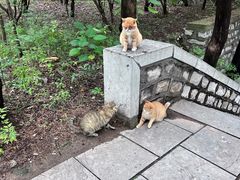 -四门塔风景区