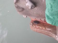 -天赐温泉