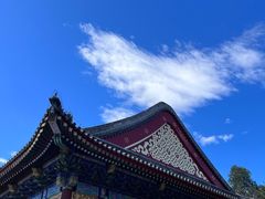 -颐和园