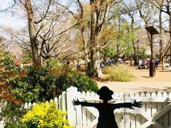 -三鹰之森吉卜力美术馆